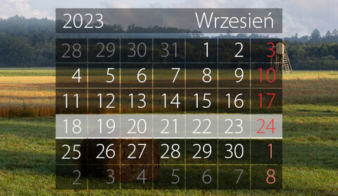W tym tygodniu portEl poleca: Festiwal Wielorzecze, inauguracja sezonu z EOK i wernisaż w Galerii EL