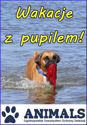 Wakacje z pupilem