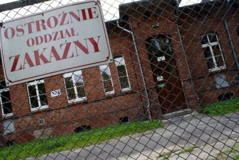 Wakacyjna „pamiątka” – świńska grypa