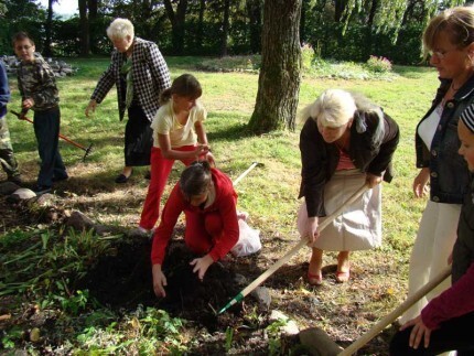 Nadzieja płynąca z żonkilowych pól