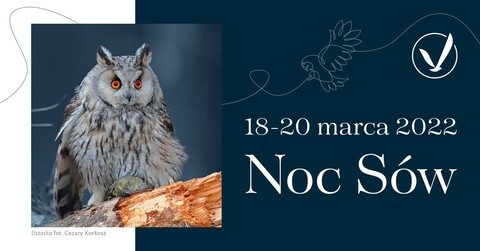 Weź udział w Nocy Sów