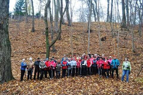 Weź udział w warsztatach nordic walking