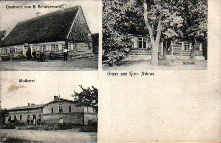 Historia okolic Elbląga: Nebrowo Małe i Wielkie (odc. 142) 