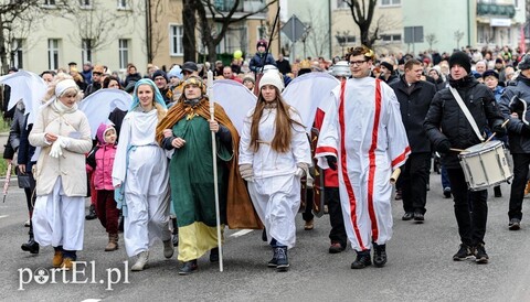 Wielbłąd dla Elbląga!