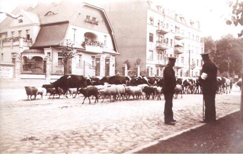 Historia elbląskich ulic: Grunwaldzka po raz czwarty (odcinek 20)