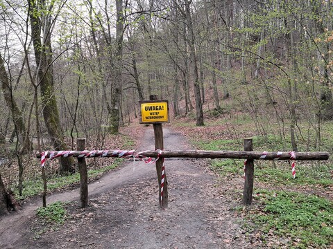 Wspólnie odbudować Bażantarnię