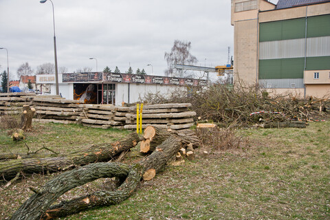 Wycięto drzewa, w planach apartamentowiec (aktualizacja) 