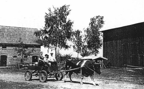 Historia okolic Elbląga: Czarne Dolne i Górne (odc. 122)