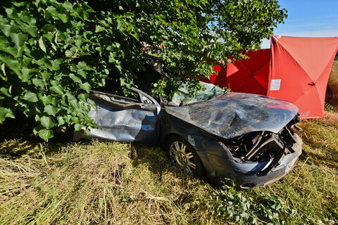Wypadek na drodze 503. Jedna osoba nie żyje