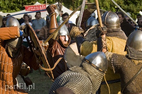 Wyspa Spichrzów siedzibą Wikingów