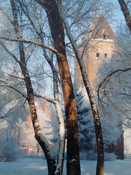Wystawa „Moje miasto Elbląg – lata 90.”