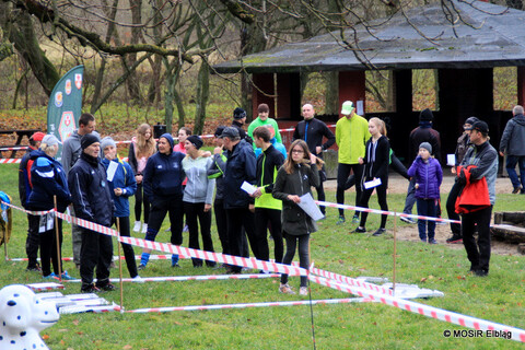 X sezon Grand Prix w Biegach na Orientację