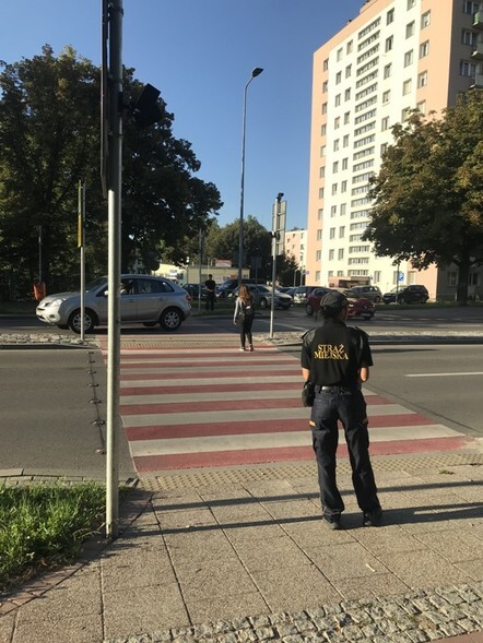 Z nimi bezpiecznie do szkoły