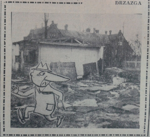 Z wędrówek Drzazgi