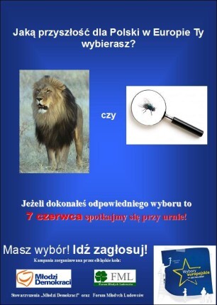 Zagłosuj w niedzielę