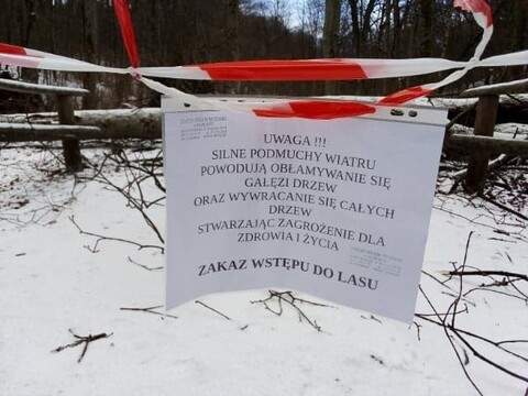 Zakaz wstępu do Bażantarni