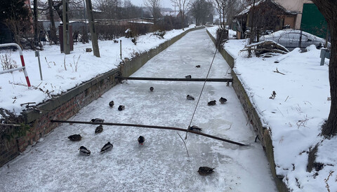 Zamarznięta Stradanka niepokoi mieszkańców