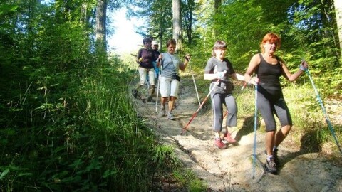 Zapisz się na kurs przewodnika Nordic Walking!
