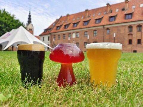 Zapraszamy na Elbląski Festiwal Piwa!