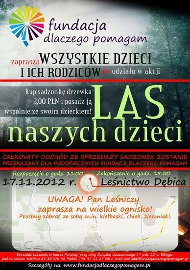 Zasadź drzewko z Fundacją