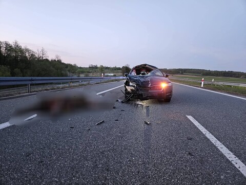 Zderzenie z łosiem na S7