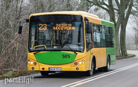 Osiemnastka dla działkowców