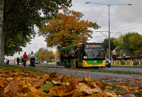 Elbląg w ogonie miast powiatowych