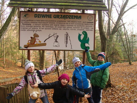 Zielona rewolucja w SP 18