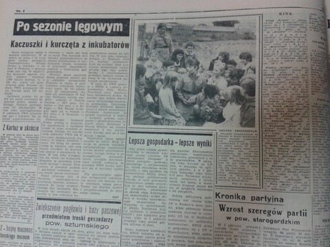 Zielone przedszkole