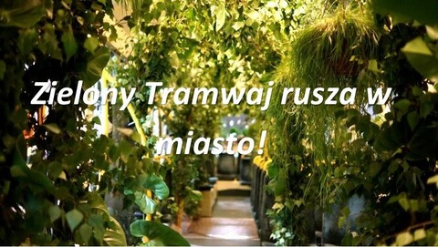 Zielony Tramwaj ruszy w miasto! 