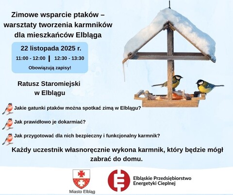 Zimowe wsparcie ptaków – warsztaty tworzenia karmników dla mieszkańców Elbląga