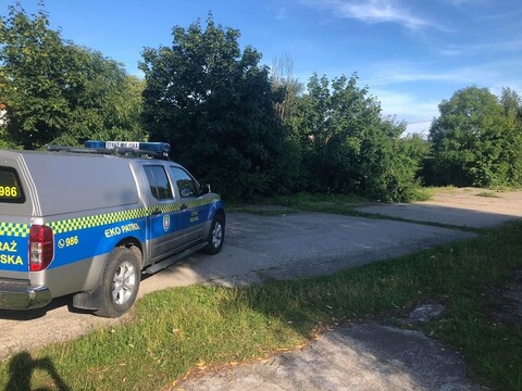 Złamał przepisy, a jeździć nie mógł