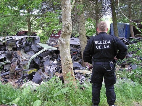 Gigantyczne złomowisko na posesji?