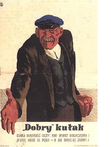 Wieś i polityka