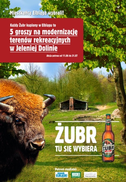 Żubr i smoki w Jeleniej Dolinie