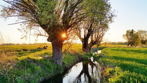 Żuławy i Elbląg na szklanym ekranie