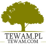 Cięcie wodą TEWAM