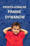 Pralnia Dywanów i Tapicerki oraz Auto Spa Karolina