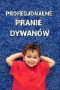 Pralnia Dywanów i Tapicerki oraz Auto Spa Karolina