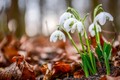 Jest sobota, jest quiz. Wiosna na horyzoncie!