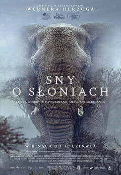Sny o słoniach w Kinie Światowid