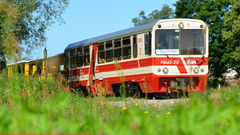 Żuławska wąskotorówka może wrócić do codziennego transportu