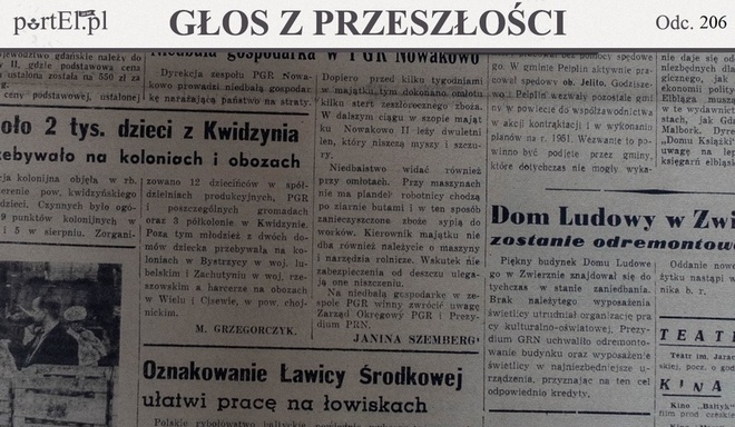 Robotnicy chodzą po ziarnie butami 