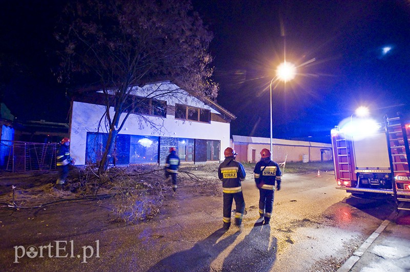  Mocno wieje, uwaga na drzewa