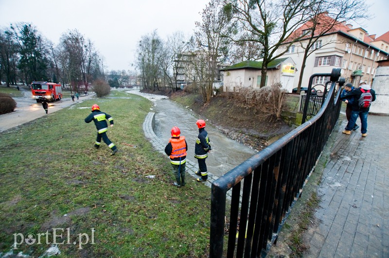  Kra zatrzymała Kumielę