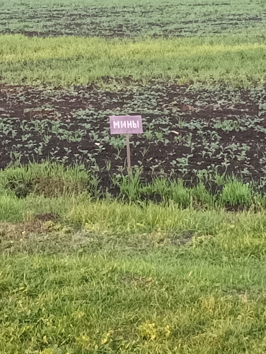 Gdyby nie wojna, nie byliby razem