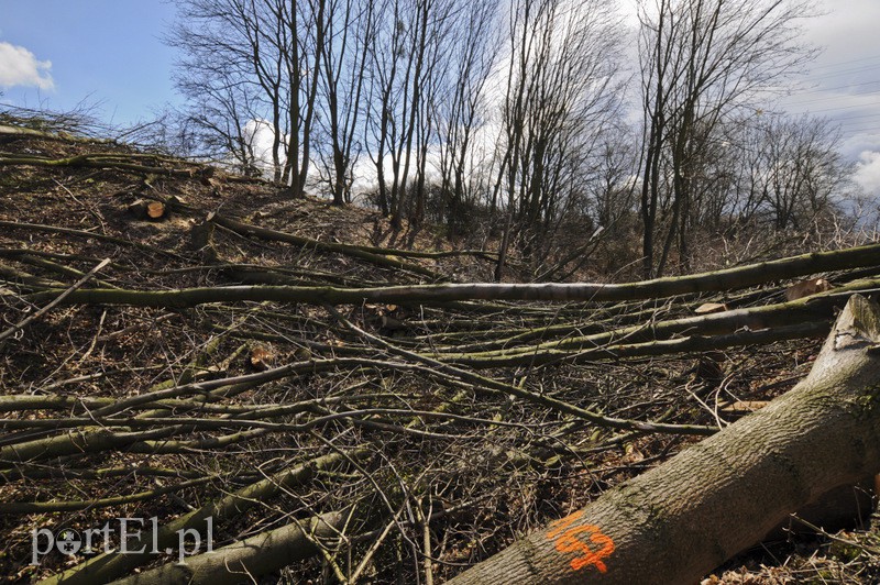 Rusza budowa nowego zakładu na Modrzewinie