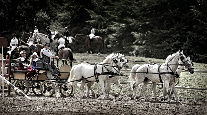 Piastowiada 2012
