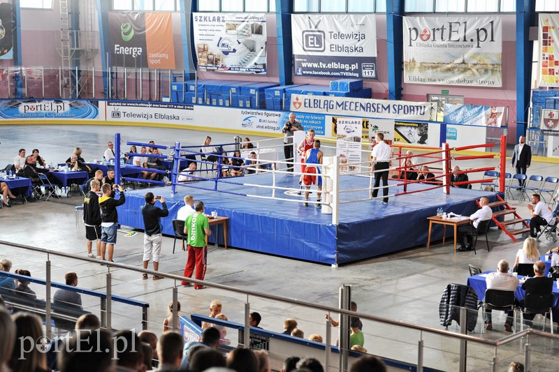VII Turniej Bokserski o Puchar Wiesława Budzińskiego