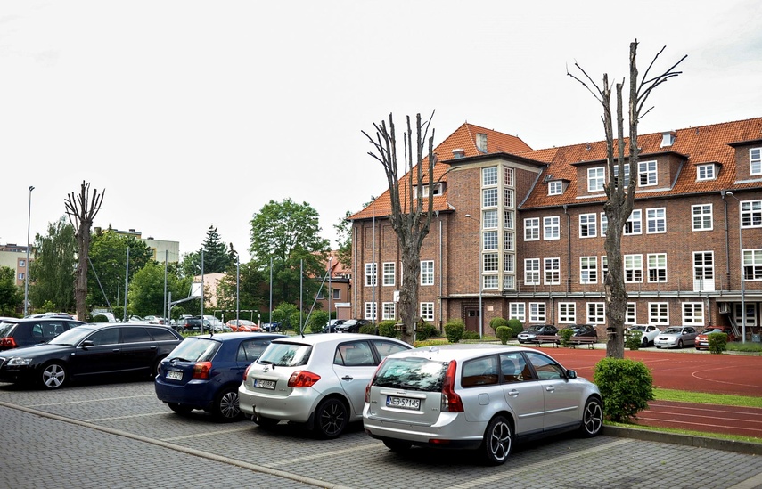 Greenwashing po elbląsku